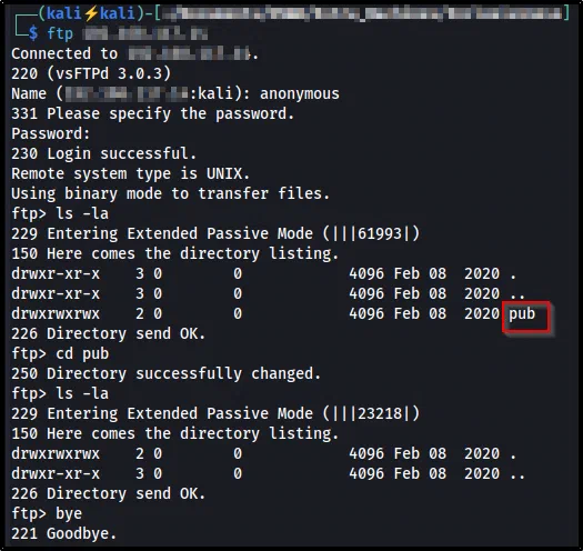 Anonymous FTP login listing a world-writable pub directory