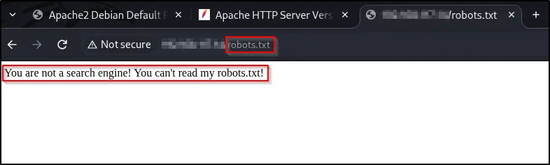robots.txt in a browser returning the message You are not a search engine