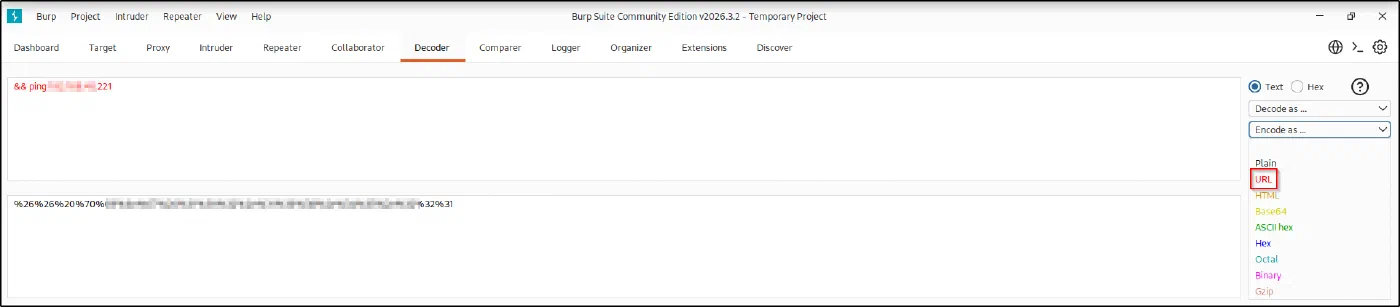 Burp Decoder URL-encoding the string && ping
