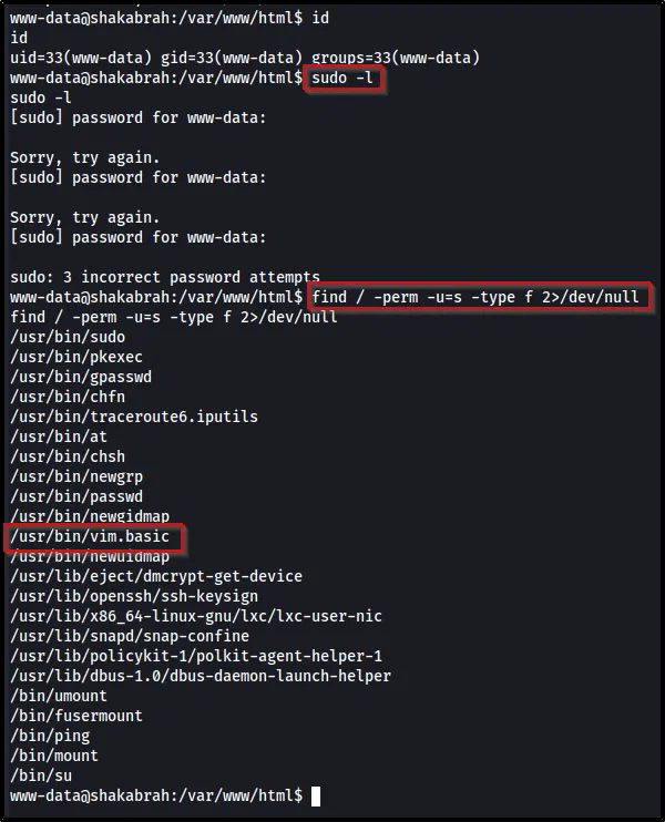 sudo -l failing with password prompts, then find listing SUID binaries with /usr/bin/vim.basic standing out